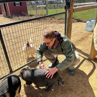 Fury, Patience, and Animal Lovers