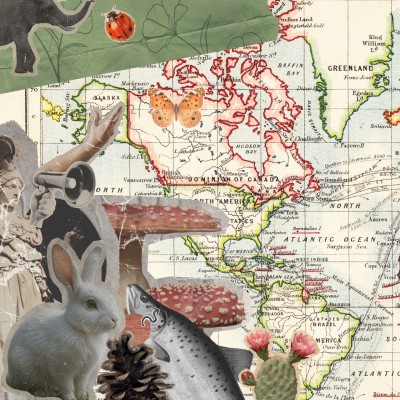 Shared Worlds: Concepts, Conflicts, and Connections in Human–Animal Studies